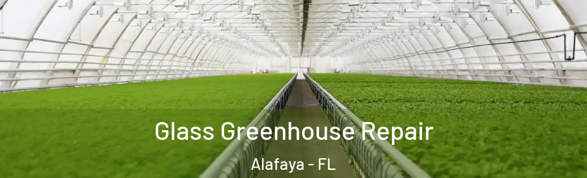 Glass Greenhouse Repair Alafaya - FL