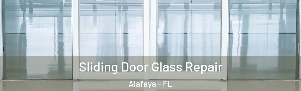 Sliding Door Glass Repair Alafaya - FL