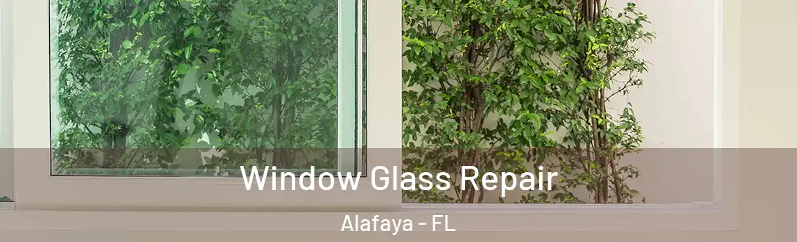 Window Glass Repair Alafaya - FL